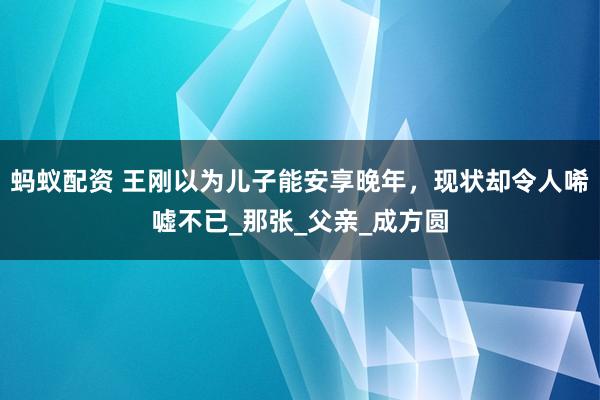 蚂蚁配资 王刚以为儿子能安享晚年，现状却令人唏嘘不已_那张_父亲_成方圆