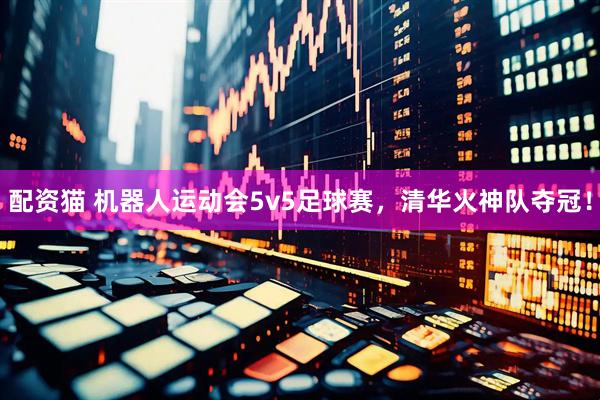 配资猫 机器人运动会5v5足球赛，清华火神队夺冠！